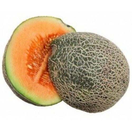 Fruit Vegetable Seeds (Rock Melon)